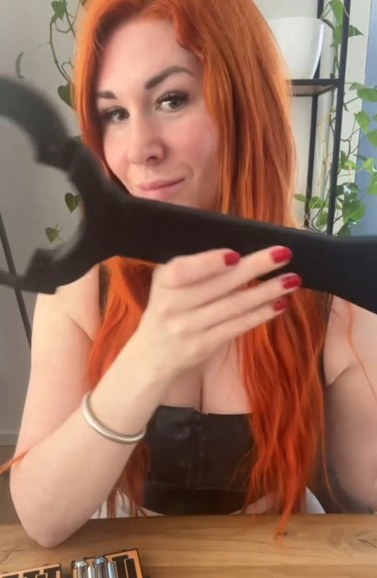 BoFeWo Spezial: Pranger – persönliche Übergabe von Constanze Nova